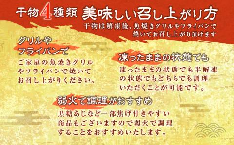 Z-888 甑島の干物 4種詰め合わせ Aセット (きびなご・あじ・かます) 干物 セット 魚 海の幸 きびなご あじ かます