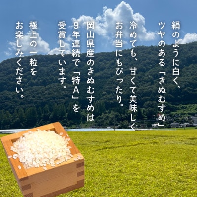 【令和7年産】きぬむすめ 岡山ほたる米 精米10kg (岡山県産)新米 産地直送 《数量限定》