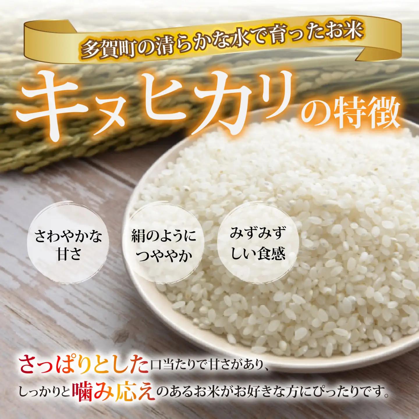 【先行予約】【令和8年産新米早期予約 毎月定期配送・計6回】 キヌヒカリ 5kg × 6回　おいしい多賀のお米 [G-00404]