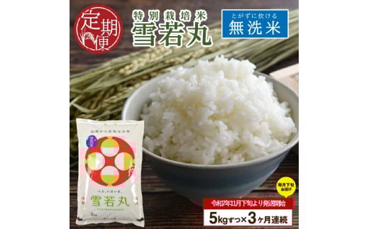 SE0392　11月下旬発送開始／【3回定期便】令和7年産 無洗米 特別栽培米 雪若丸　5kg×3回(計15㎏)「農家直送」 KA