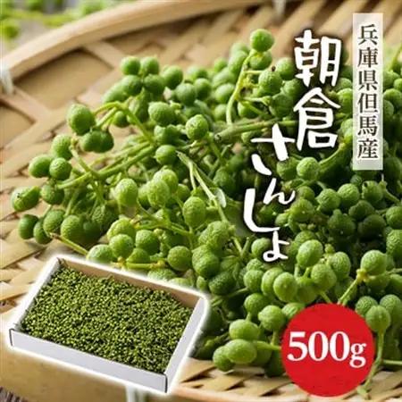 2027年先行予約5月下旬～発送 朝倉さんしょ 500g 生 実山椒 クール便 冷蔵 兵庫県産 直送【配送不可地域：離島】【1616570】