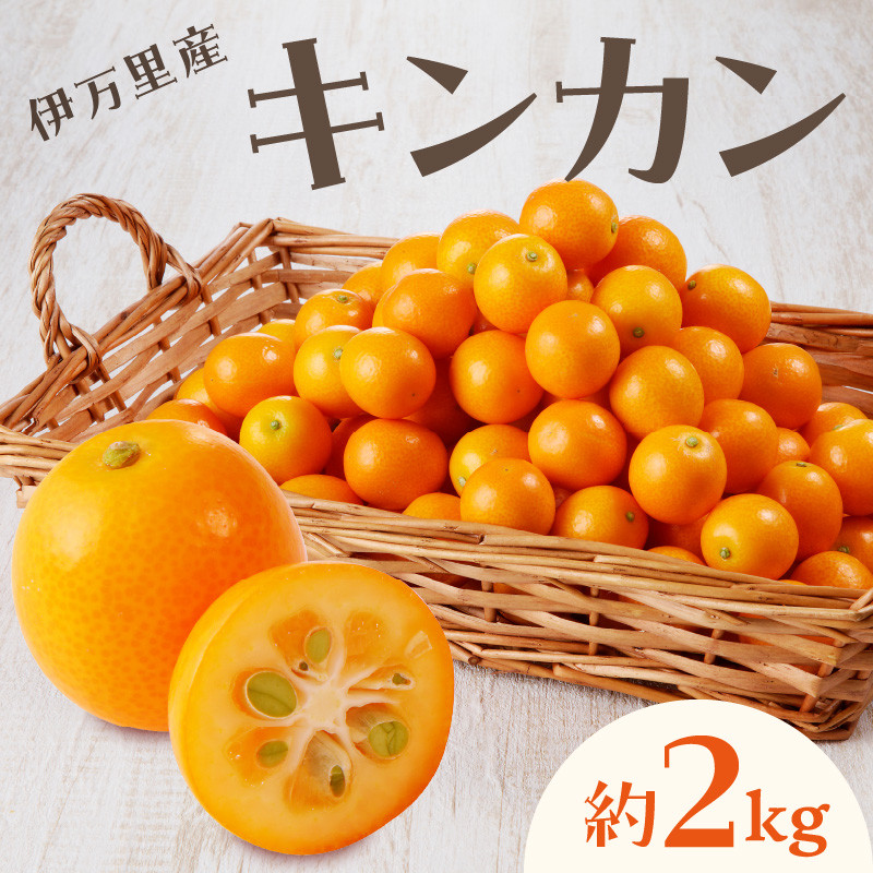 
            【減農薬】伊万里産キンカン（Lサイズ）2kg 柑橘類 003-B958
          