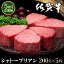 【ふるさと納税】【5カ月定期便】佐賀牛 シャトーブリアン 200g×5枚(計25枚)【佐賀牛 特上 ヒレステーキ フィレステーキ やわらか 上質 サシ 美味しい クリスマス パーティー イベント お祝い ブランド肉 定期便 5か月定期】 S-R030327