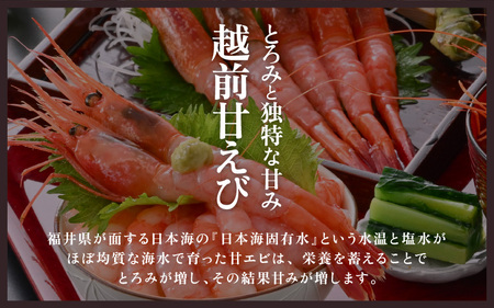 【年内配送】大好評！天然 越前甘エビ（卵あり）大サイズ計1.5kg（500g × 3箱）（合計約90尾入り）解凍方法説明書付き 船内凍結 酸化防止剤不使用！ 甘エビ本来の味をお楽しみください【えび エ