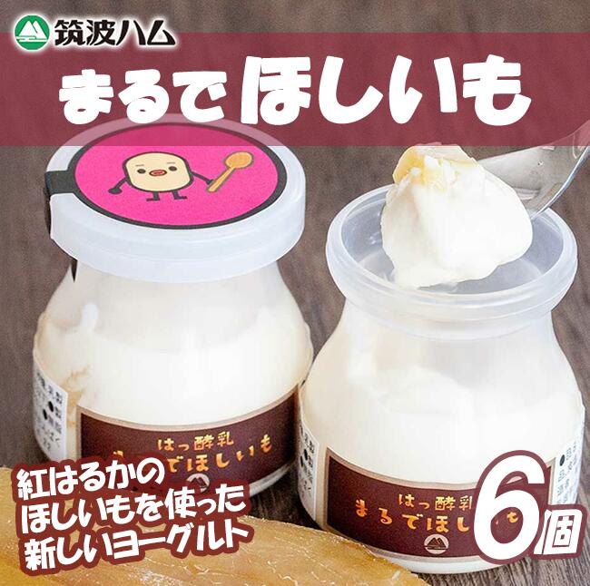 【ふるさと納税】【筑波ハム】まるでほしいも×3個セット2箱 | 茨城県 つくば市 ヨーグルト 干し芋 ほしいも ほし芋 紅はるか さつまいも いも 健康