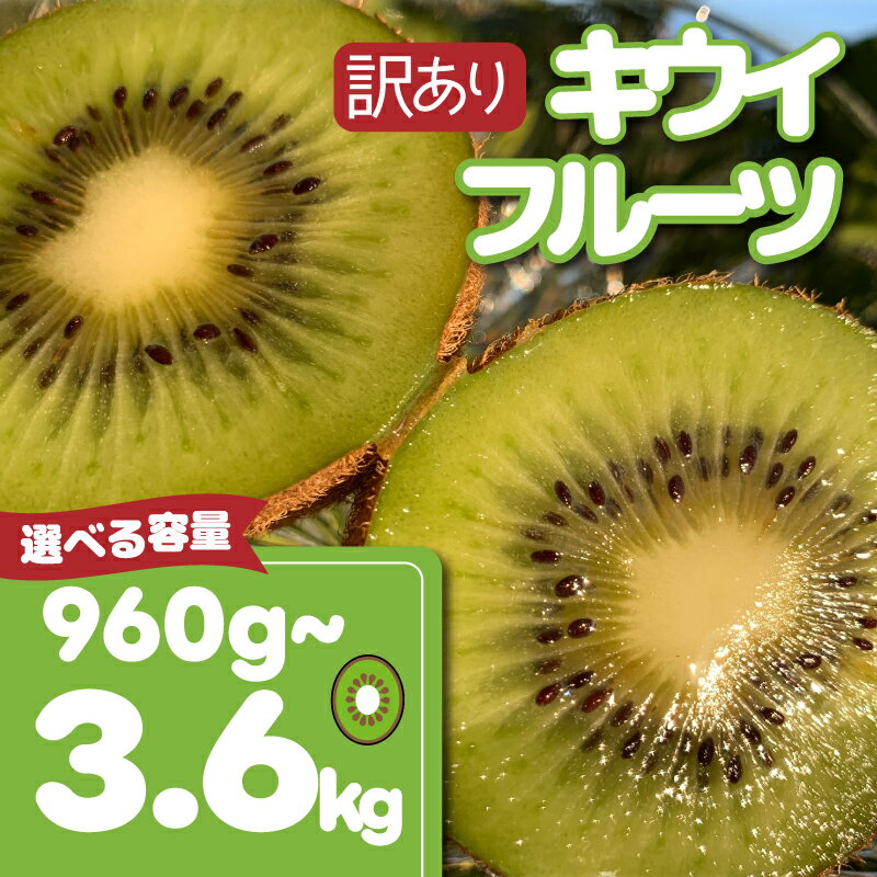 【ふるさと納税】 【先行予約】【12月上旬~順次発送】 訳あり キウイフルーツ 960g~3.6kg 腸活 グリーンキウイ 健康 甘い キウイ フルーツ 無選別 みつばちキウイ 規格外 傷 デザート 果物 国産 青果 愛知県 南知多町 【配送不可地域：北海道 青森 秋田 岩手 沖縄 離島】