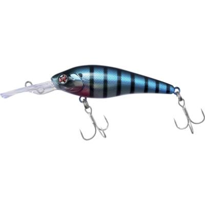 ふるさと納税 中間市 コジローシャッド　#ブルーギル