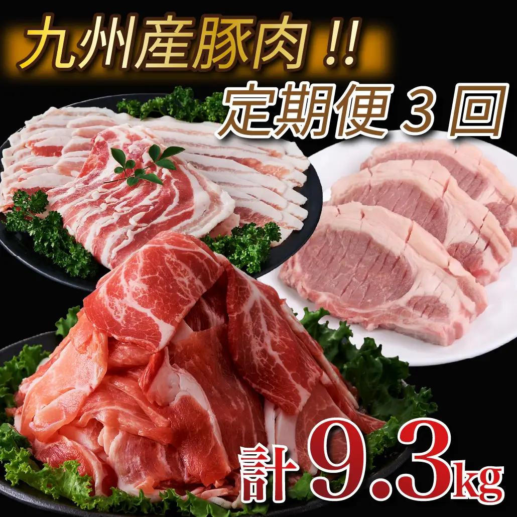 【定期便・全3回】九州産豚肉3種セット定期便(大容量 九州産豚肉 国産豚肉 炒め物 しゃぶしゃぶ とんかつ 焼肉 生姜焼き 肉じゃが カレー 豚汁)