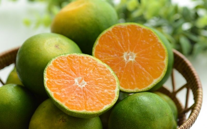 仲森農園の超極早生温州みかん みえ紀南一号 約5kg みかん ミカン 蜜柑 温州みかん 温州ミカン 柑橘 フルーツ 果物 くだもの 甘い 旬 数量限定 期間限定 産地直送 三重県 熊野市【2026年9