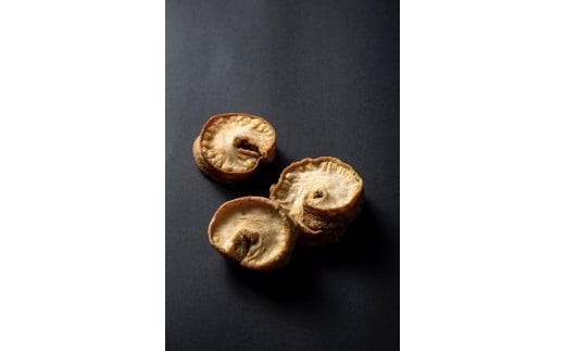 
            神戸湊川製造 横山商店の牛油かす 500g
          