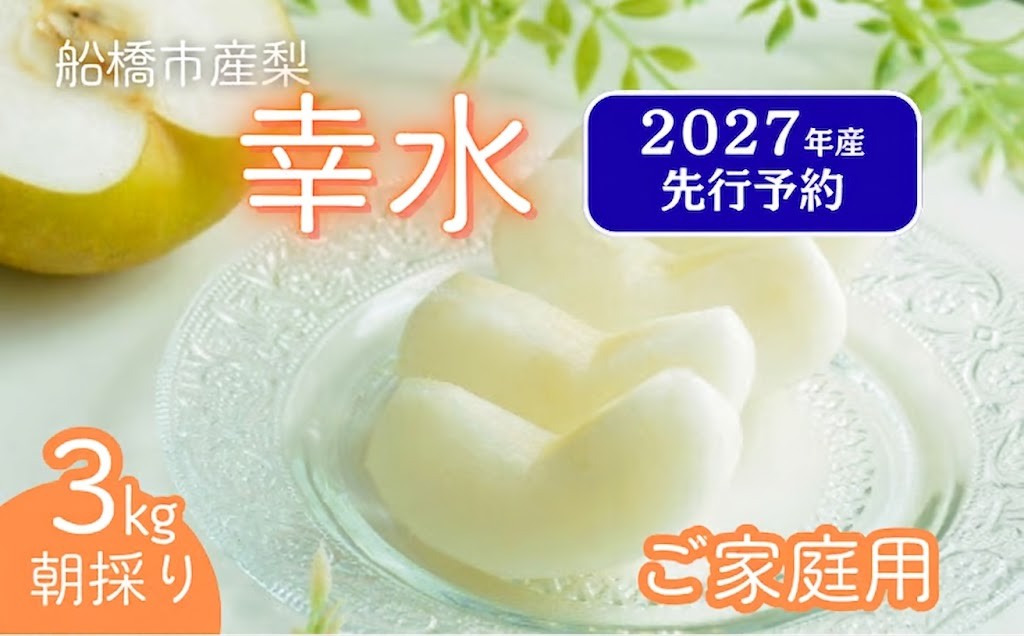 
                  【2027年産先行予約】＜家庭用＞果汁たっぷりの極上梨「幸水・3kg」6～9玉 千葉県 船橋市産 エコチョク
                