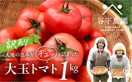 《先行予約》 訳アリ 大玉トマト 麗月 1kg≪谷下農園 有機JAS認証農園の完熟トマト≫ トマト 【61-17】