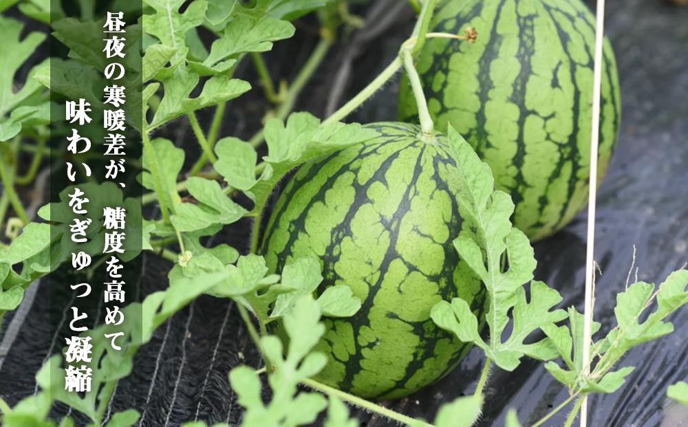 【高級】八色原すいか小玉２玉