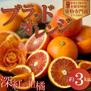 【ふるさと納税】深紅の柑橘「ブラッドオレンジ」　約3kg　観音寺市　お届け：2025年3月上旬～3月下旬