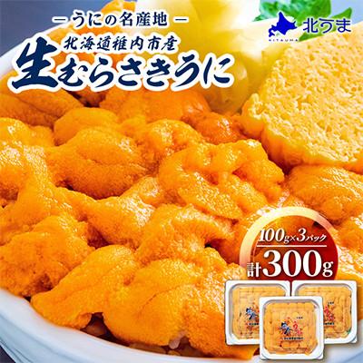 ふるさと納税 稚内市 令和8年発送 先行受付【うにの名産地稚内市】最北端の生むらさきうに(100g×3パック)