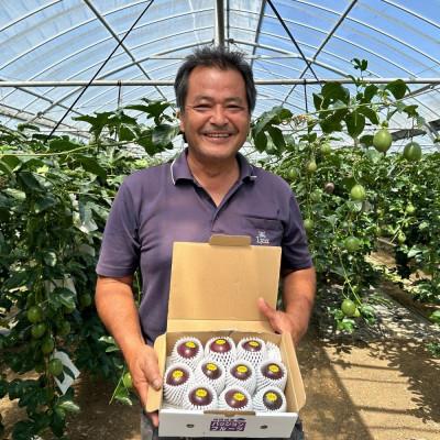 ふるさと納税 国頭村 【2026年5月から順次発送】国頭村産パッションフルーツ1kg(10〜12玉) |  | 02