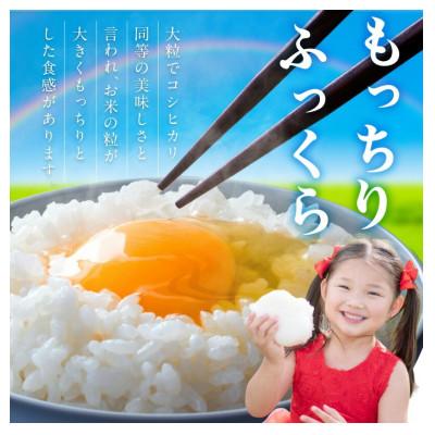 ふるさと納税 御坊市 御坊・日高地方産　粒より米　にじのきらめき　5kg |  | 01