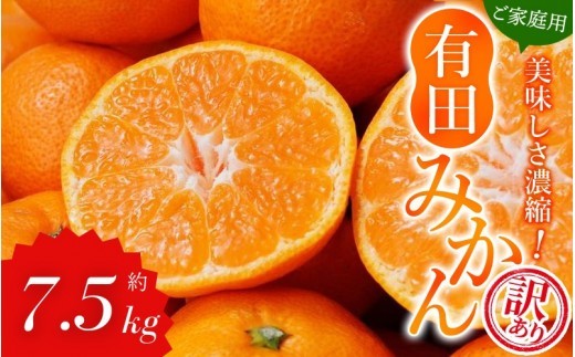 【訳あり みかん 7.5kg】  訳あり 有田みかん 約7.5kg サイズ混合 / フルーツ 果物 くだもの 柑橘 みかん ミカン オレンジ 温州ミカン みかん 名産地 甘い みかん ご家庭用 訳ありみかん 蜜柑 有機質肥料100% 有田 産地直送 ※2026年11月～2027年1月に順次発送予定（お届け日指定不可）※北海道・沖縄・離島への配送不可【nuk157F】