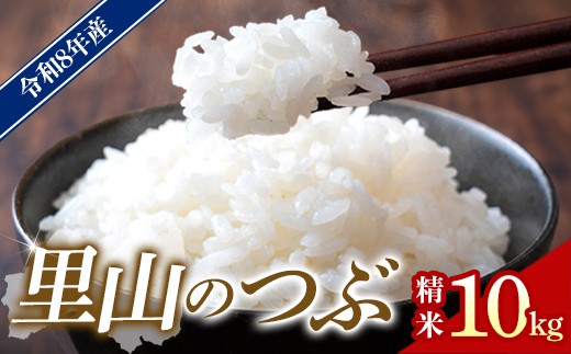 
                  【先行予約】令和8年産 川俣町産 里山のつぶ 精米 10kg FAF-0006
                
