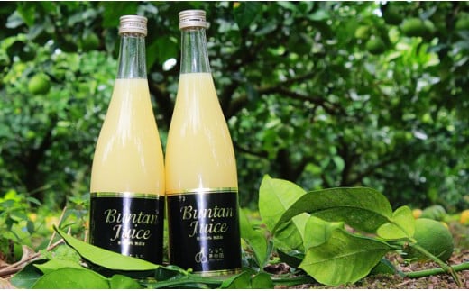 なるた果樹園の文旦ジュース720ml							