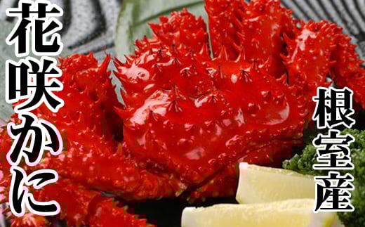 
D-30043 【北海道根室産】花咲かに500～650g×6尾
