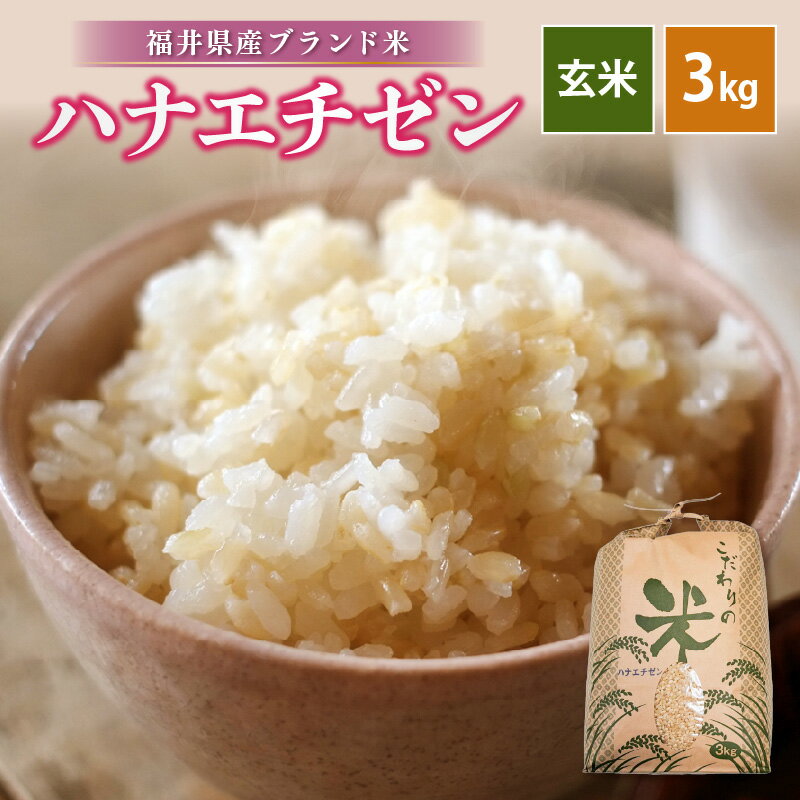 【ふるさと納税】【新米】 令和7年産 ハナエチゼン 3kg 福井県産【玄米】【お米 はなえちぜん 華越前 3キロ】 [e30-a086]