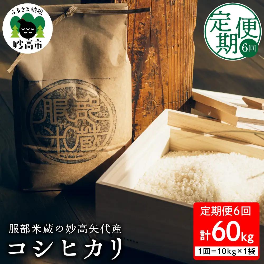 先行予約【令和8年産】【定期便】服部米蔵の妙高矢代産コシヒカリ 10kg×6回 計60kg