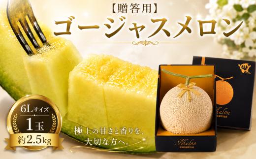 メロン めろん 茨城  2026年発送 1玉 約2.5kg 果物 くだもの フルーツ 果実 贈答用 青肉 青肉メロン 6Lサイズ 1個 先行予約 国産 アールスメロン ゴージャスメロン あーるすめろん meron melon 旬 デザート 産地直送 農家直送 数量限定 期間限定 プレゼント ギフト 贈り物 茨城県 鉾田市 大森農園
