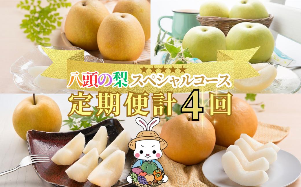 
            【2025年発送分】八頭の梨スペシャルコース【8月頃～11月/4回お届け】
          