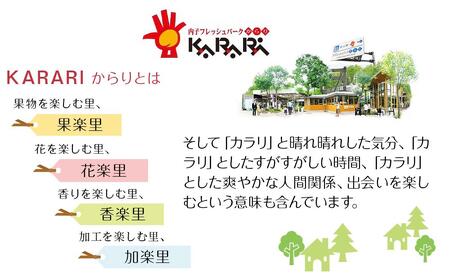 内子からり直送！ドイツ仕込みの「内子豚ソーセージ5種セット」【ソーセージ 愛媛 BBQ 人気ソーセージ 美味しい ソーセージ 愛媛県 ソーセージ 肉汁 豚肉ソーセージ アウトドアソーセージ 大人気ソー