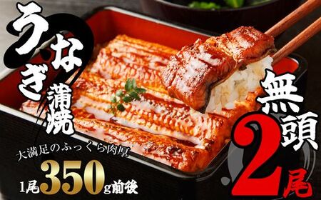 うなぎ蒲焼 無頭 2尾 | うなぎ蒲焼
