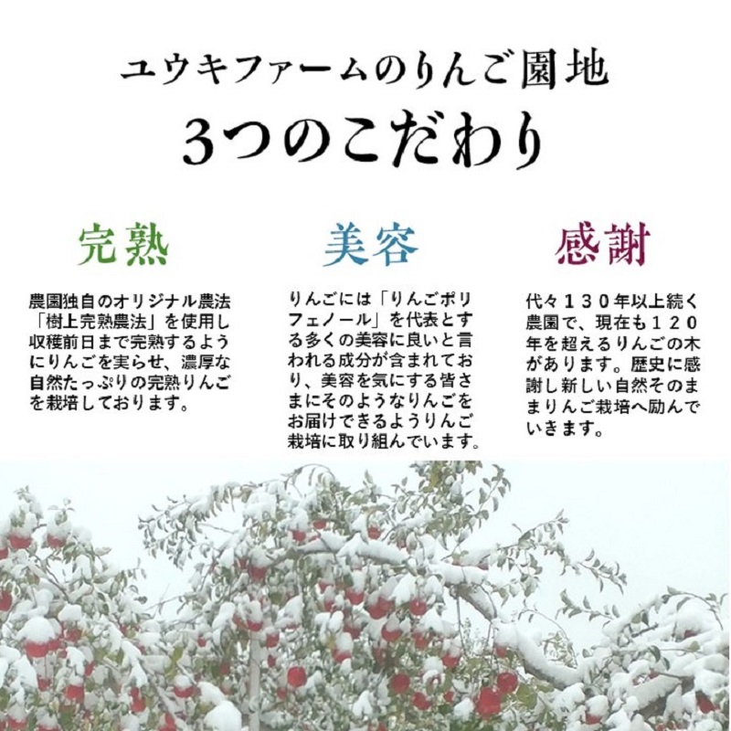 りんご 【 数量限定 】12月発送 雪完熟りんご 最高等級 蜜入り 糖度13度以上 「特選」 サンふじ 約 3kg 9個入り【 弘前市産 青森りんご 】