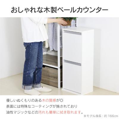 ふるさと納税 三条市 木製2分別ダストボックス ホワイト [川口工器]【069S001】 |  | 01