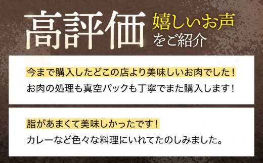 【6回定期便】ジビエ 天然イノシシ肉 バラエティ総量3.8kg / 猪 猪肉 いのしし肉 イノシシ イノシシ肉 いのしし 長崎県猪 川棚町産猪 ぼたん鍋用いのしし 九州産イノシシ【照本食肉加工所】 [