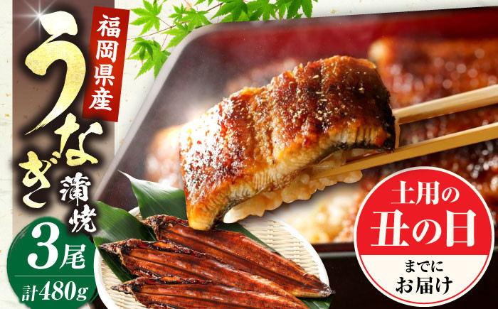 
            福岡県産 うなぎ 蒲焼 大3尾 合計 480 g（1尾あたり 160g以上）《豊前市》【福岡養鰻】 国産 鰻 蒲焼き [VAD003]
          