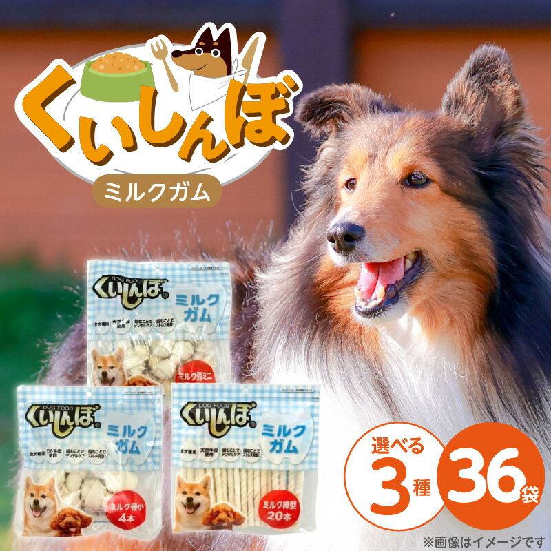 【ふるさと納税】くいしんぼ ミルクガム 36袋 選べる セット内容 骨型 ミニ 12本 × 36袋 小 4本 × 36袋 棒型 20本 × 36袋 ミルク風味 デンタルガム ストレス解消 天然牛皮使用 ハードタイプ ガム 歯みがき効果 歯周病予防 あごの強化 犬 おやつ 福岡県 久留米市 送料無料