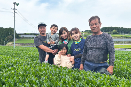 お茶 緑茶 そのぎ茶 (極上・特上・上) 飲み比べ セット 各90g 総計270g