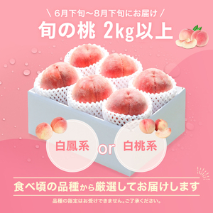 ＜2024年先行予約＞山梨県産 旬の桃 2kg以上(5～8玉)  180-004