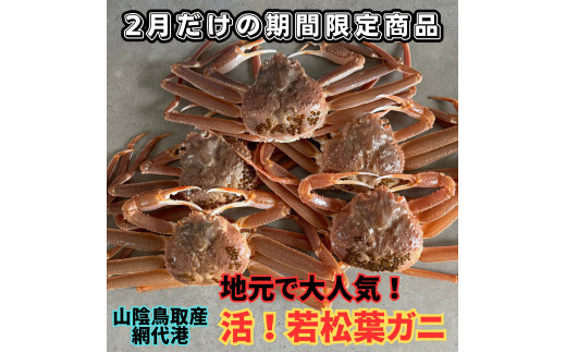 【22036】鳥取網代港　地元で大人気　活！若松葉ガニ（中5枚）岩美 松葉がに ずわいがに かに カニ 日本海【さかなや新鮮組】
