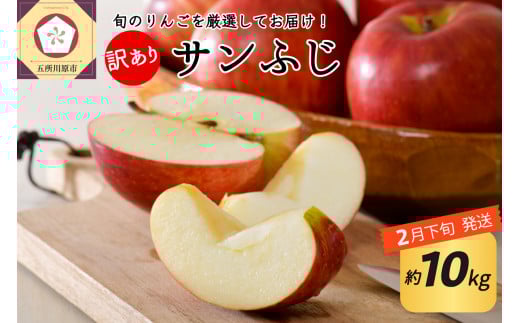 【2026年2月下旬発送】 【訳あり】 りんご 約10kg サンふじ 青森産