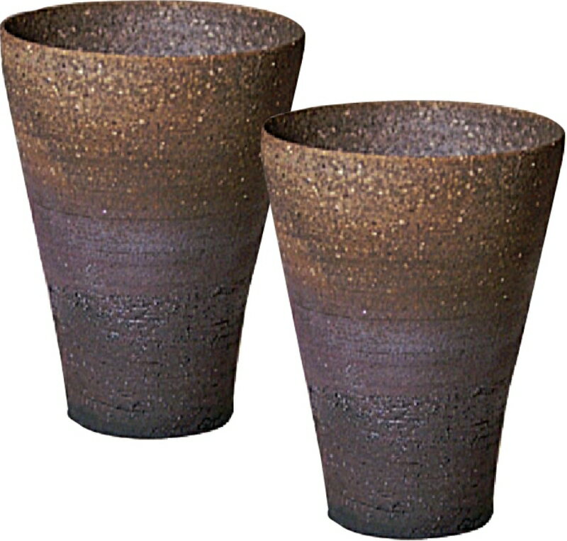 【ふるさと納税】 長谷園 伊賀焼 ビアマグ炭焼ペアギフト 中