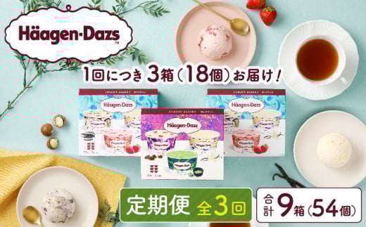 ＜全3回定期便・連続＞ハーゲンダッツ『アソートボックス3箱セット(合計9箱)』アイスクリーム アイス スイーツ デザート_H0026-035