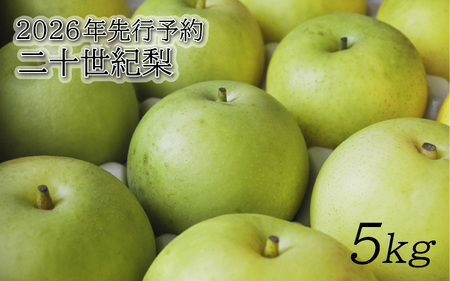【2026年 先行予約】二十世紀梨 5kg｜鳥取 東光園 梨 2026年収穫後 2026年8月下旬から順次発送【41053】