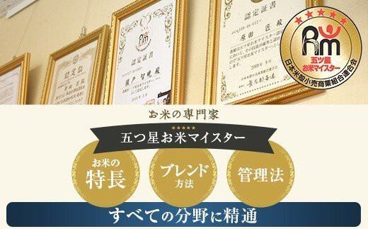 薩摩エース お米マイスター厳選 特A 5㎏×2袋（10kg）お米 精米 