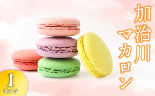 マカロン 1セット 【 イチジク 枝豆 桜 苺 はちみつ レモン いちご えだまめ マカロン まかろん お菓子 セット 洋菓子 菓子 お菓子 スイーツ 甘味 ギフト プレゼント お土産 新潟県 新発田市 sinpo002 】