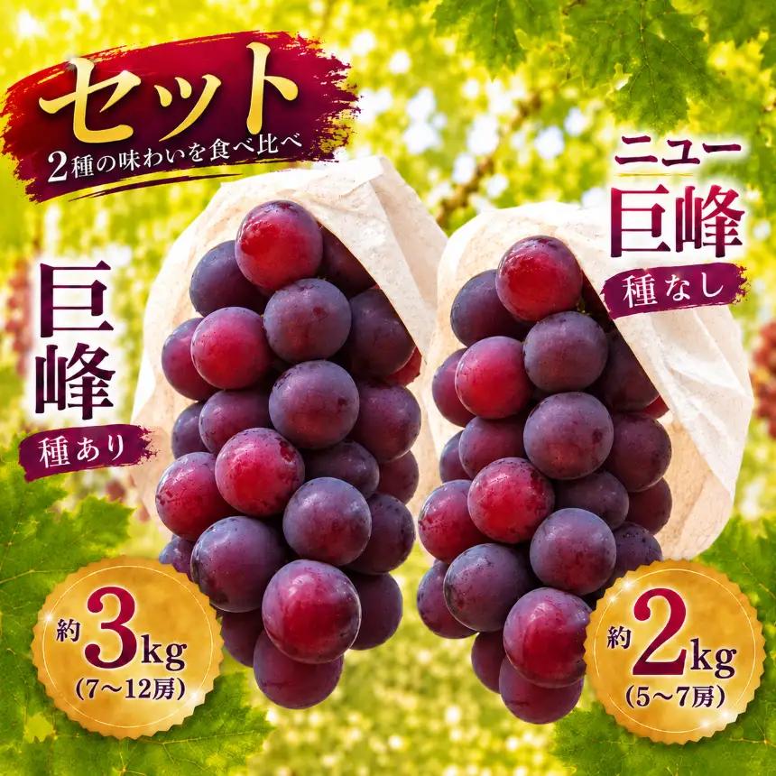 巨峰 約3kg (7～10房) ＋ ニュー巨峰 約2kg (5～7房) セット | ぶどう 果物 フルーツ 産地直送 甘い 種あり 種なし 大分県産 九州産 中津市 国産 送料無料