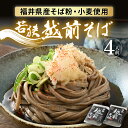 【ふるさと納税】若狭越前そば4人前 1パック250g（めん100g×2、つゆ25g×2）× 2パック 【引越し 年越し お中元 お歳暮 母の日 父の日 プレゼント お祝い 引き出物 お返し ギフト ハレの日 子供の日 お礼 敬老の日 そば 蕎麦 ソバ 麺類 小分け 使いやすい 】