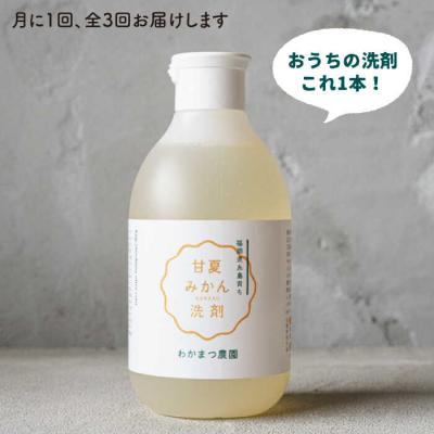 ふるさと納税 糸島市 【全3回定期便】【植物 由来】 万能 濃縮 甘夏 みかん 洗剤/わかまつ農園 [AHB020] |  | 01