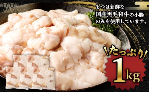 【2027年1月発送】 国産 牛もつ鍋 10人前 牛もつ たっぷり1,000g 冷凍ちゃんぽん 濃縮スープ付