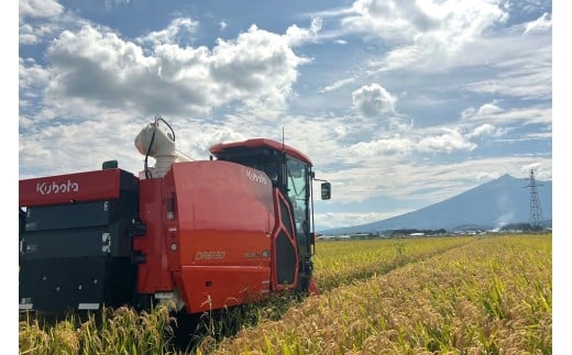 令和7年産 つがる市産 まっしぐら 白米 3kg｜2025年産 まっしぐら 白米 お米 米 コメ 精米 農家 青森 [0936]